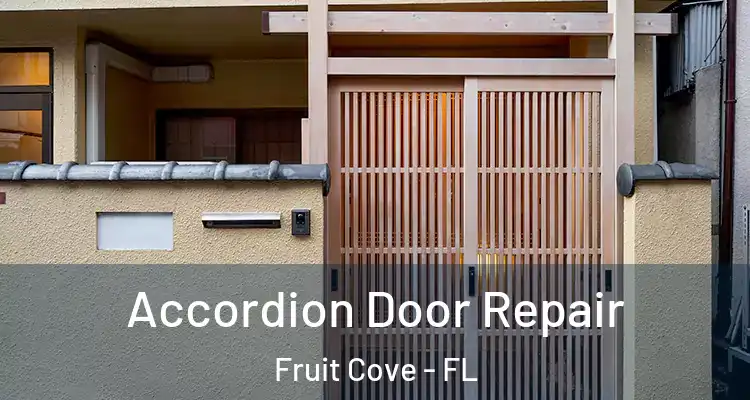 Accordion Door Repair Fruit Cove - FL