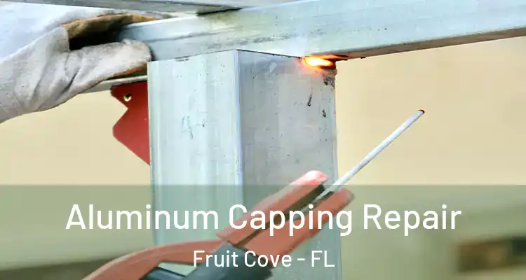 Aluminum Capping Repair Fruit Cove - FL
