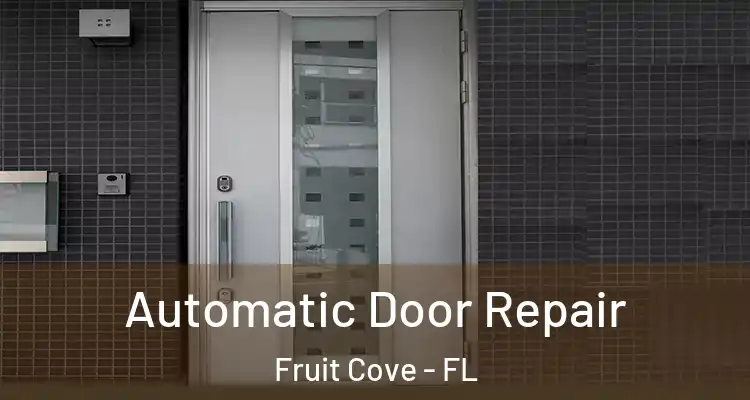Automatic Door Repair Fruit Cove - FL