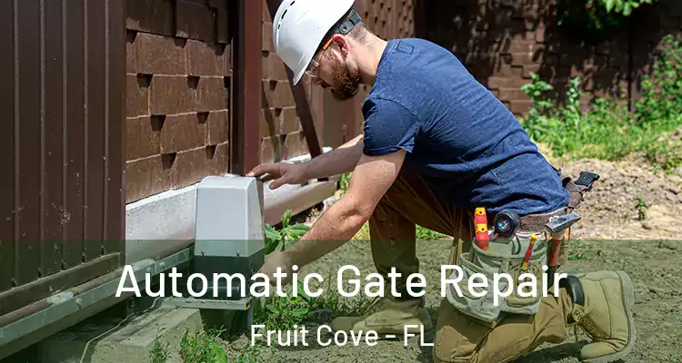 Automatic Gate Repair Fruit Cove - FL
