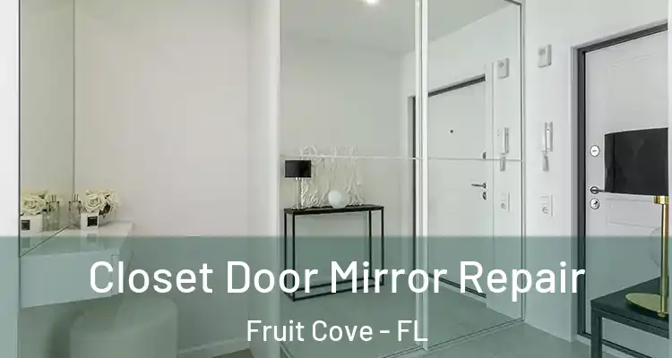 Closet Door Mirror Repair Fruit Cove - FL