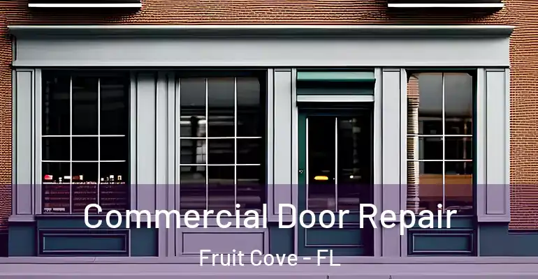 Commercial Door Repair Fruit Cove - FL