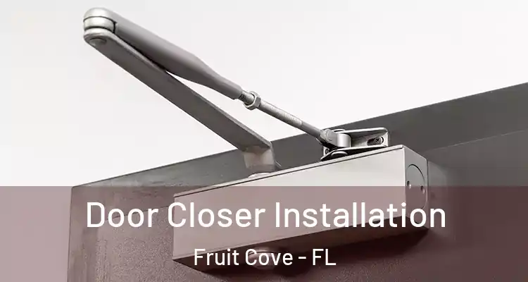 Door Closer Installation Fruit Cove - FL
