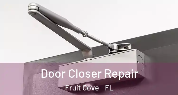 Door Closer Repair Fruit Cove - FL