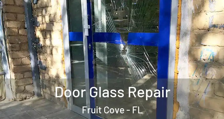 Door Glass Repair Fruit Cove - FL