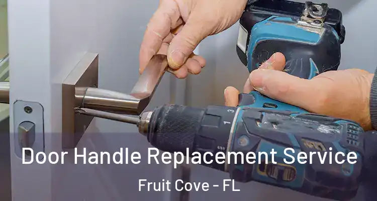 Door Handle Replacement Service Fruit Cove - FL