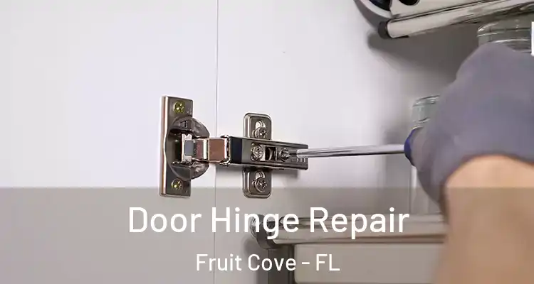 Door Hinge Repair Fruit Cove - FL
