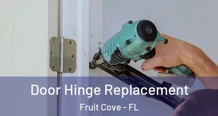 Door Hinge Replacement Fruit Cove - FL