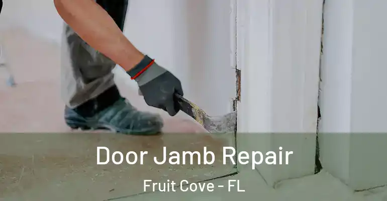 Door Jamb Repair Fruit Cove - FL