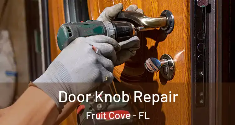 Door Knob Repair Fruit Cove - FL