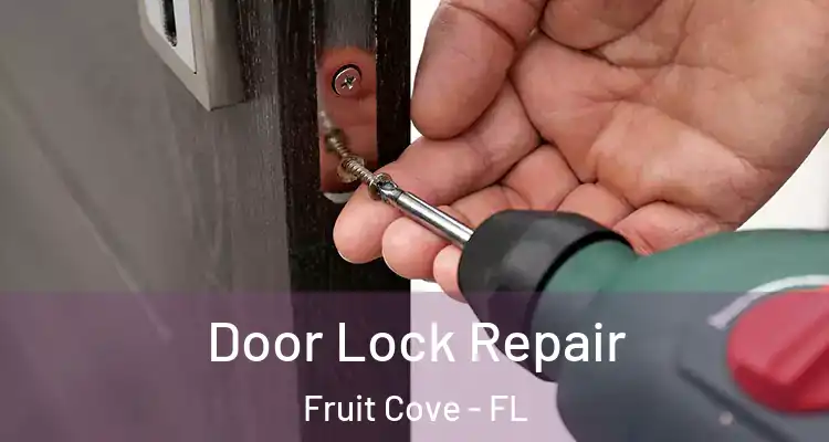 Door Lock Repair Fruit Cove - FL