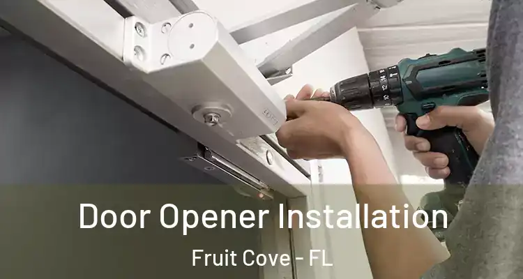 Door Opener Installation Fruit Cove - FL