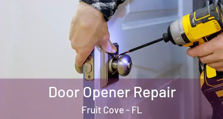 Door Opener Repair Fruit Cove - FL
