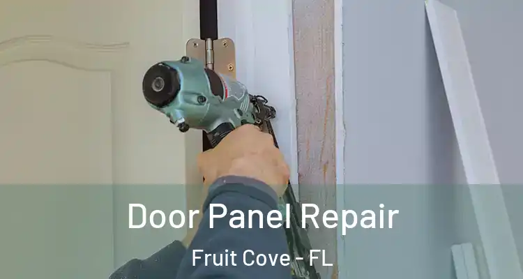 Door Panel Repair Fruit Cove - FL