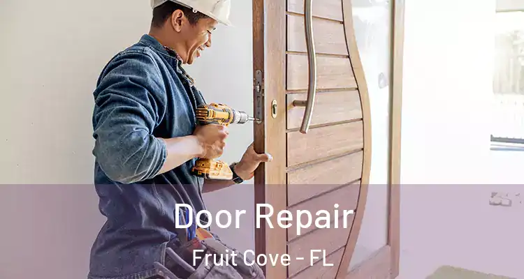 Door Repair Fruit Cove - FL