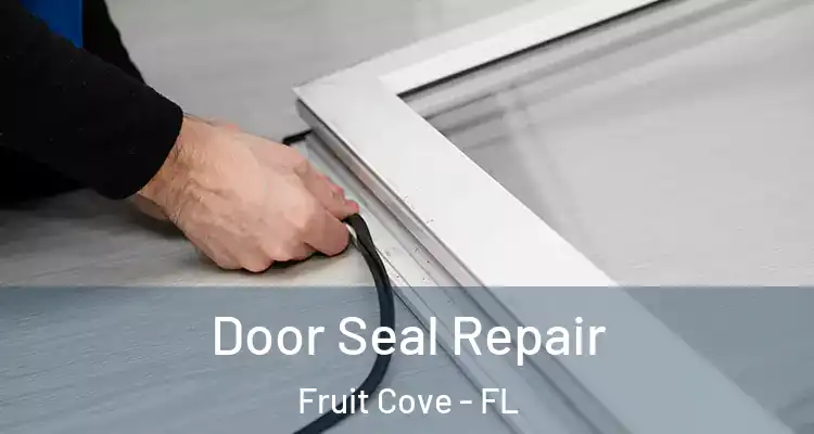 Door Seal Repair Fruit Cove - FL