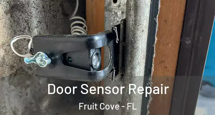 Door Sensor Repair Fruit Cove - FL