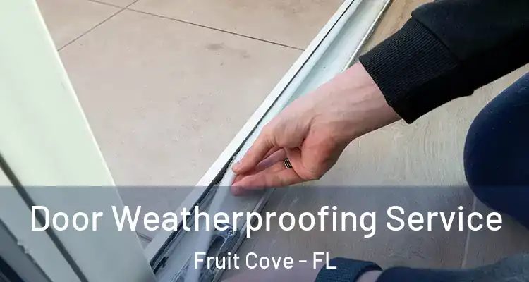 Door Weatherproofing Service Fruit Cove - FL
