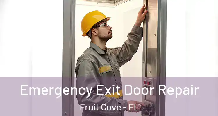 Emergency Exit Door Repair Fruit Cove - FL