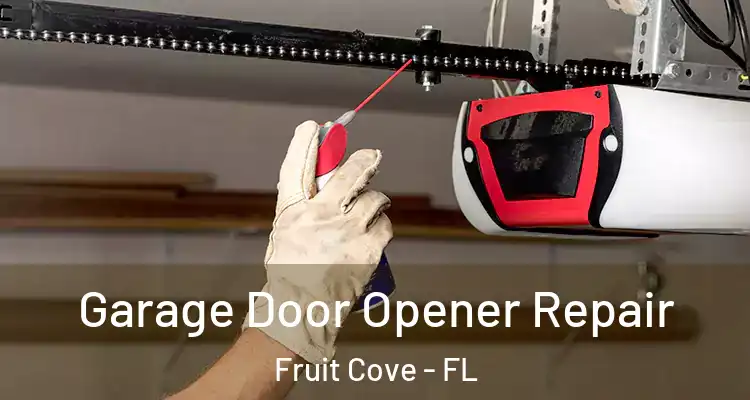 Garage Door Opener Repair Fruit Cove - FL