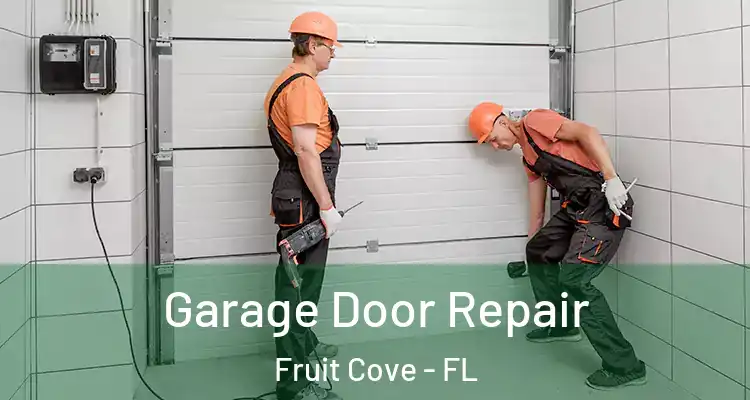 Garage Door Repair Fruit Cove - FL