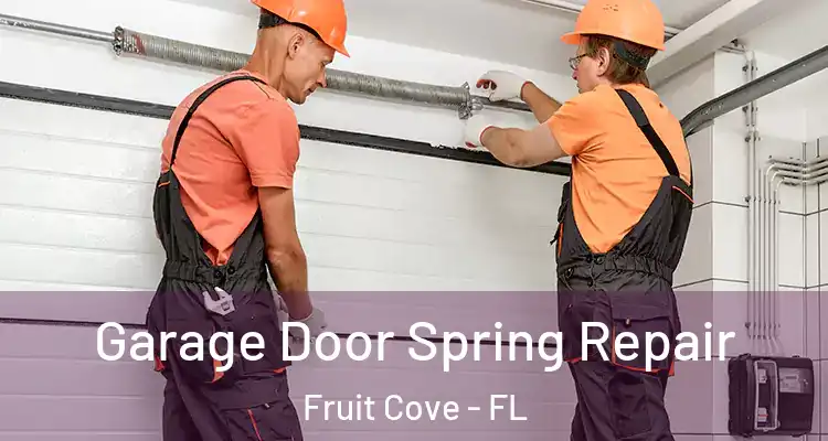 Garage Door Spring Repair Fruit Cove - FL