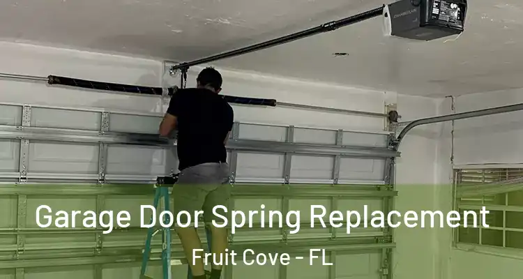 Garage Door Spring Replacement Fruit Cove - FL