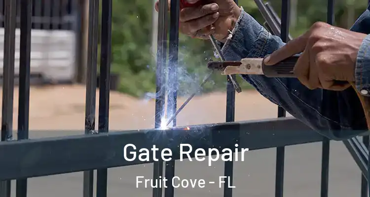 Gate Repair Fruit Cove - FL
