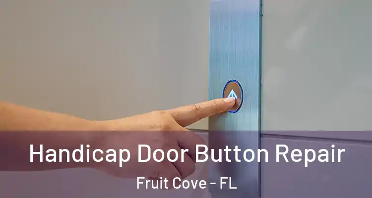Handicap Door Button Repair Fruit Cove - FL