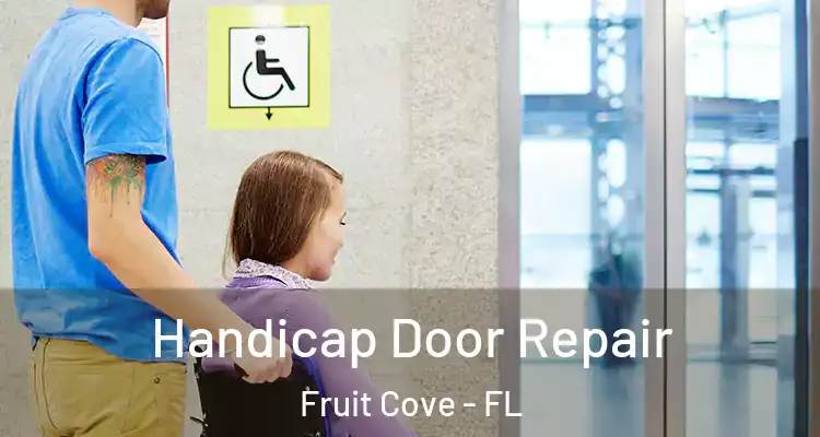 Handicap Door Repair Fruit Cove - FL