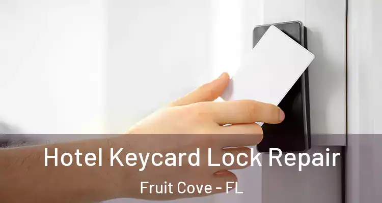 Hotel Keycard Lock Repair Fruit Cove - FL