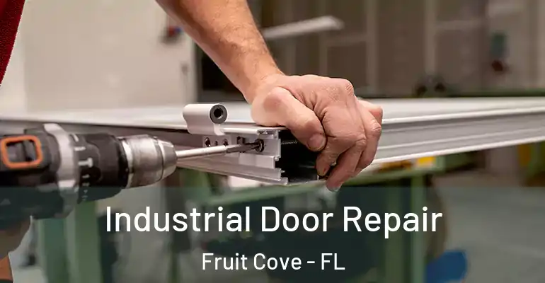 Industrial Door Repair Fruit Cove - FL