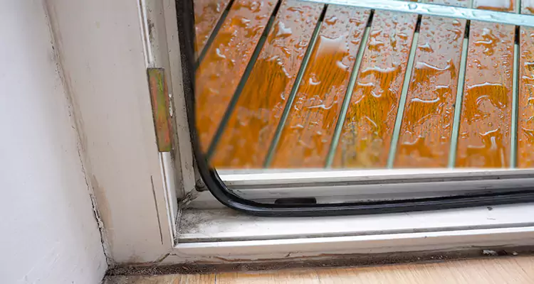Water Leaking Wooden Patio Doors Repair in Fruit Cove, FL