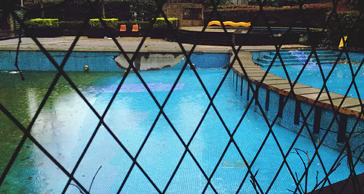 Lanai Screen Repair in Fruit Cove, FL