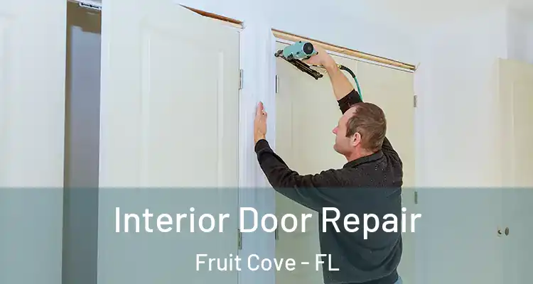 Interior Door Repair Fruit Cove - FL