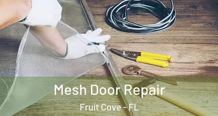 Mesh Door Repair Fruit Cove - FL