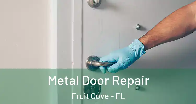 Metal Door Repair Fruit Cove - FL
