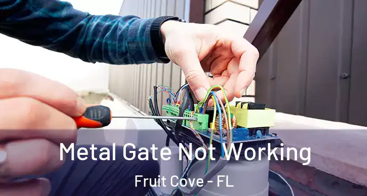 Metal Gate Not Working Fruit Cove - FL