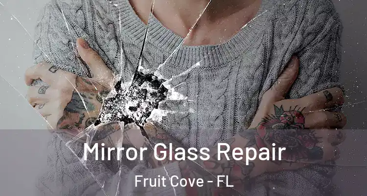 Mirror Glass Repair Fruit Cove - FL