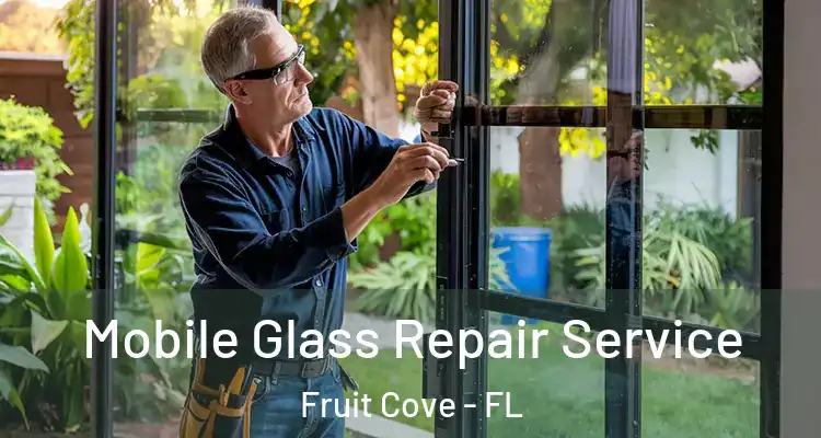 Mobile Glass Repair Service Fruit Cove - FL