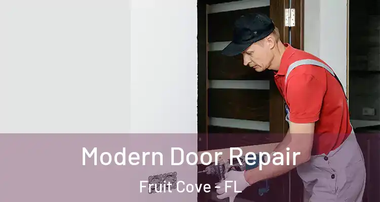 Modern Door Repair Fruit Cove - FL