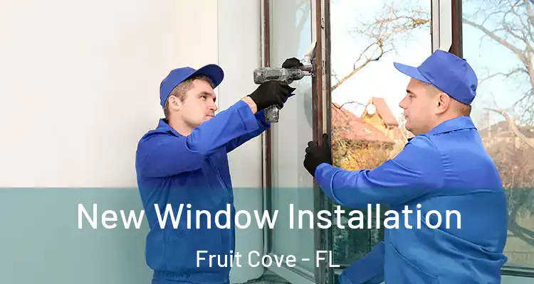 New Window Installation Fruit Cove - FL