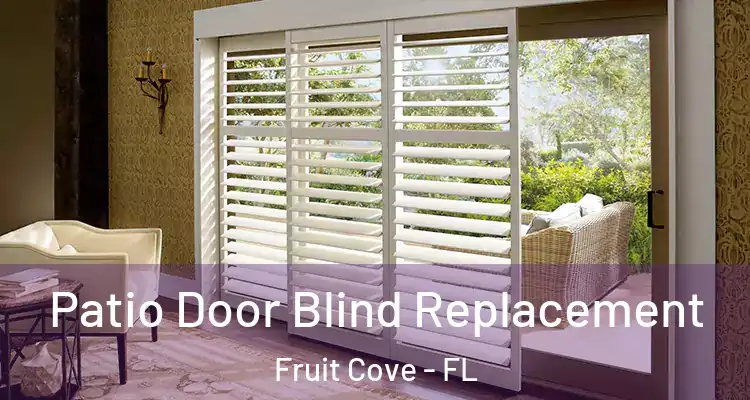 Patio Door Blind Replacement Fruit Cove - FL