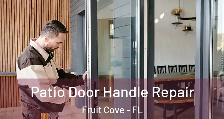 Patio Door Handle Repair Fruit Cove - FL