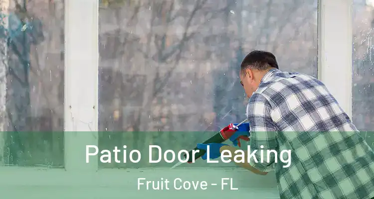 Patio Door Leaking Fruit Cove - FL