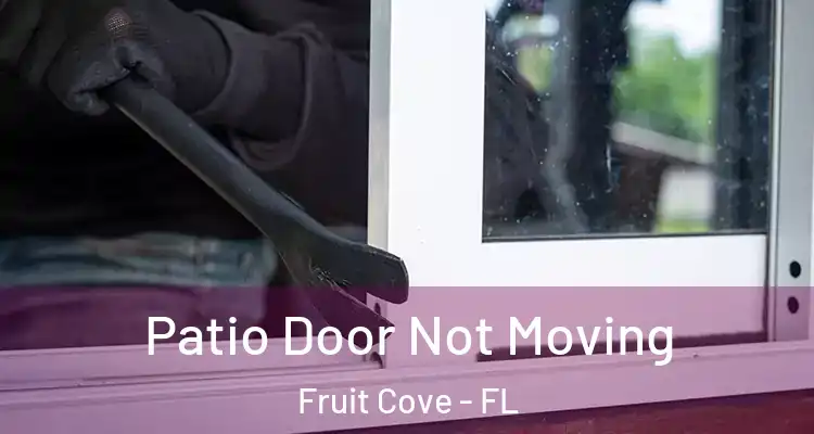 Patio Door Not Moving Fruit Cove - FL