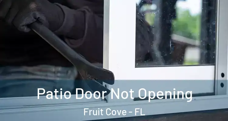 Patio Door Not Opening Fruit Cove - FL