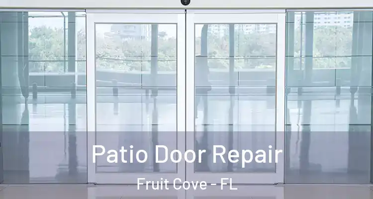 Patio Door Repair Fruit Cove - FL