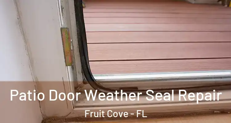 Patio Door Weather Seal Repair Fruit Cove - FL