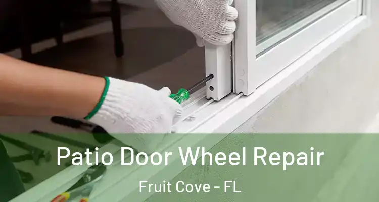 Patio Door Wheel Repair Fruit Cove - FL